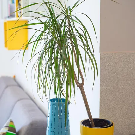 公寓 Lemon 莫斯塔尔